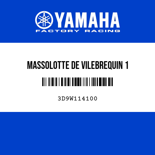 MASSOLOTTE DE VILEBREQUIN 1