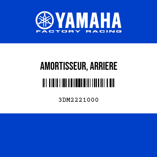 AMORTISSEUR, ARRIERE