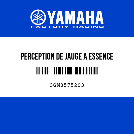 PERCEPTION DE JAUGE A ESSENCE