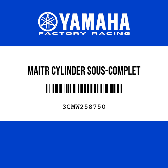 MAITR CYLINDER SOUS-COMPLET