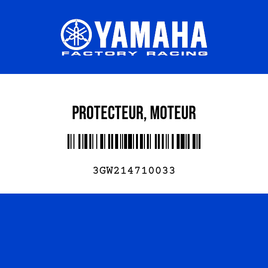 PROTECTEUR, MOTEUR