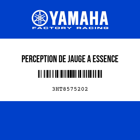 PERCEPTION DE JAUGE A ESSENCE