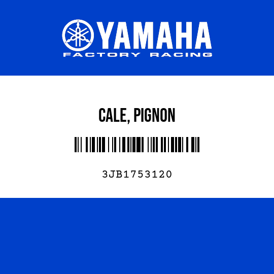 CALE, PIGNON