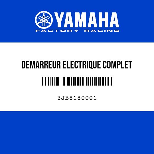 DEMARREUR ELECTRIQUE COMPLET