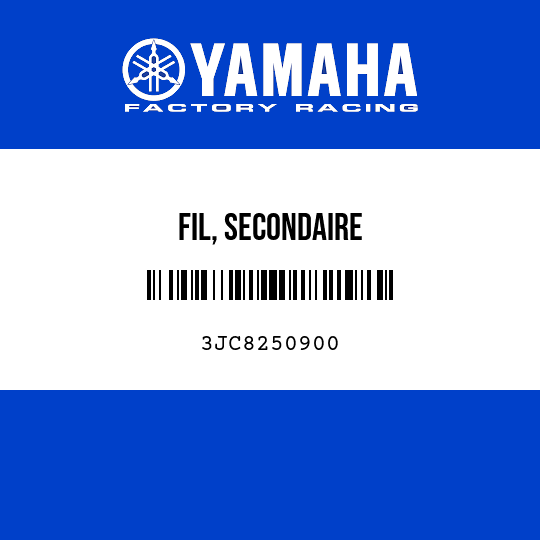 FIL, SECONDAIRE