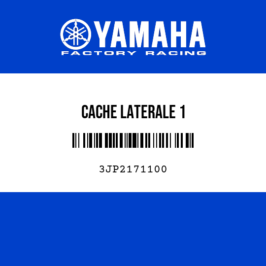 CACHE LATERALE 1