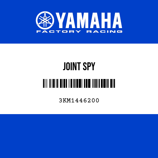 JOINT SPY