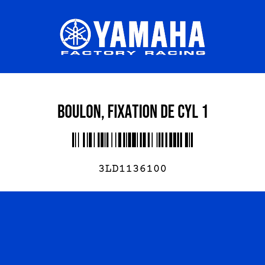 BOULON, FIXATION DE CYL 1