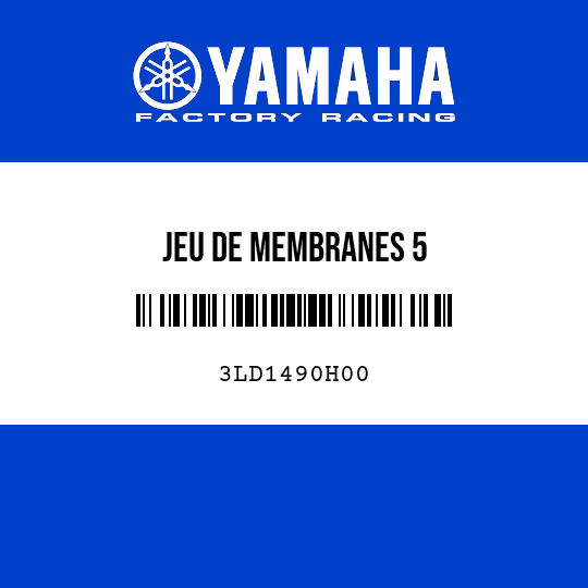 JEU DE MEMBRANES 5