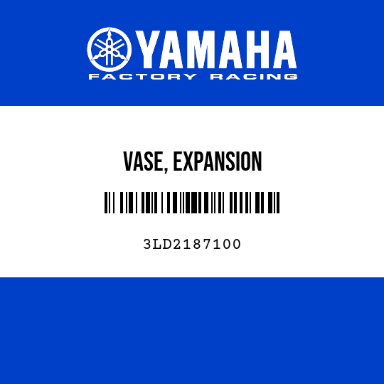 VASE, EXPANSION