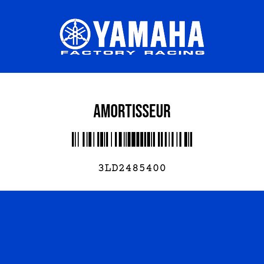 AMORTISSEUR