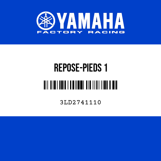 REPOSE-PIEDS 1