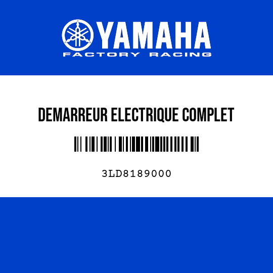 DEMARREUR ELECTRIQUE COMPLET