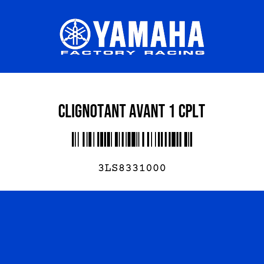 CLIGNOTANT AVANT 1 CPLT