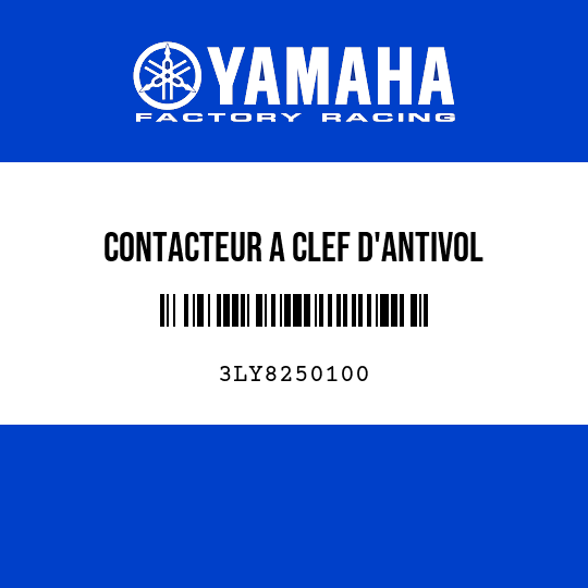 CONTACTEUR A CLEF D'ANTIVOL