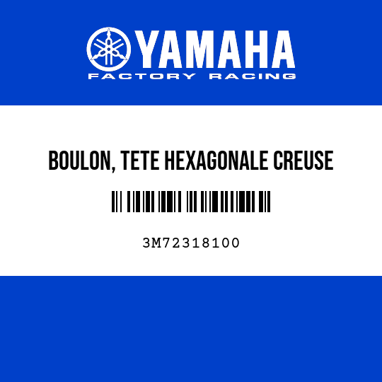 BOULON, TETE HEXAGONALE CREUSE
