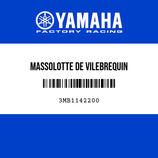 MASSOLOTTE DE VILEBREQUIN