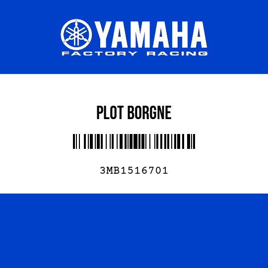 PLOT BORGNE