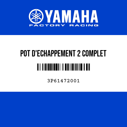 POT D'ECHAPPEMENT 2 COMPLET