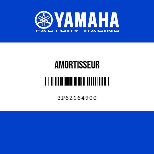AMORTISSEUR