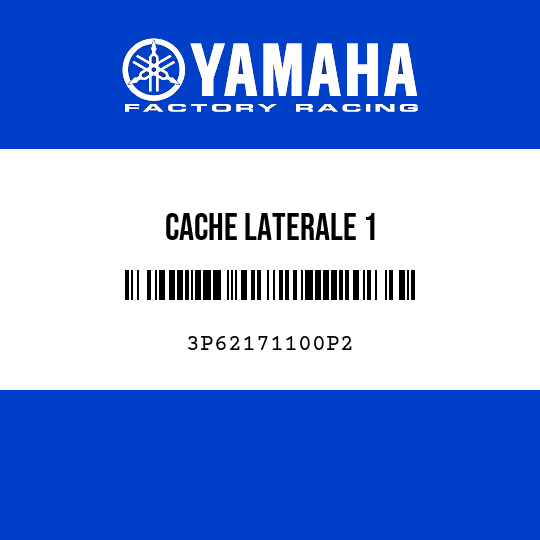 CACHE LATERALE 1