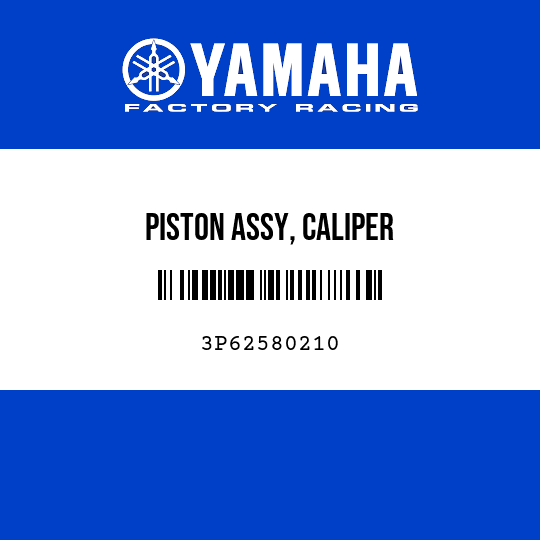 PISTON ASSY, CALIPER