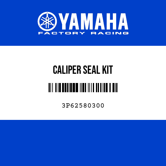 CALIPER SEAL KIT