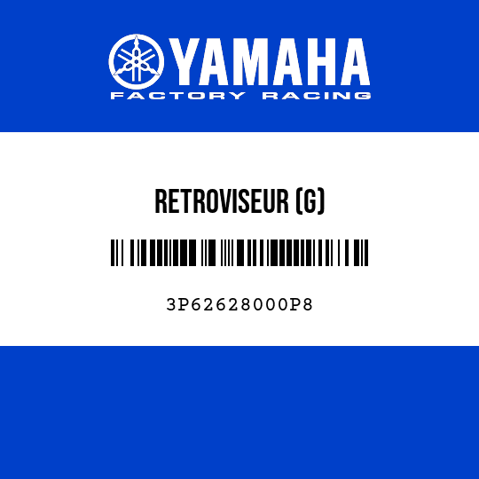 RETROVISEUR (G)