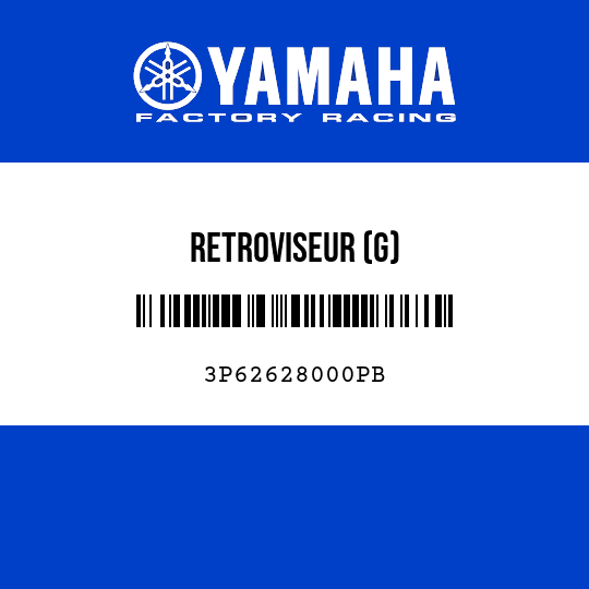 RETROVISEUR (G)