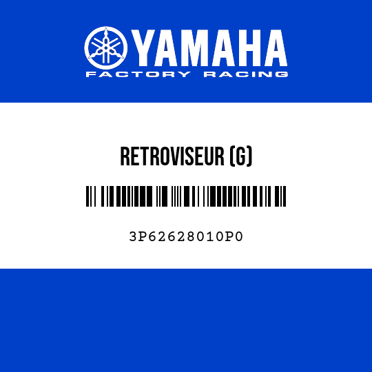RETROVISEUR (G)