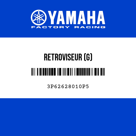 RETROVISEUR (G)