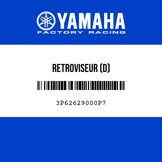 RETROVISEUR (D)