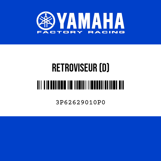 RETROVISEUR (D)