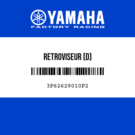 RETROVISEUR (D)