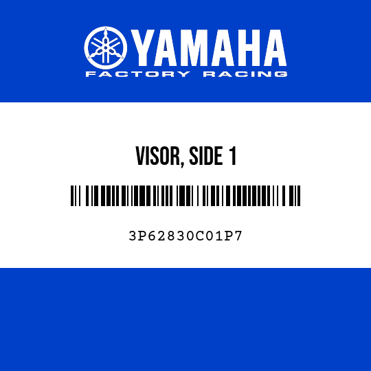 VISOR, SIDE 1