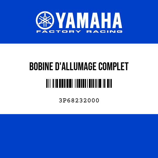 BOBINE D'ALLUMAGE COMPLET