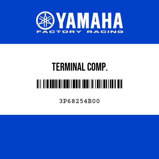 TERMINAL COMP.