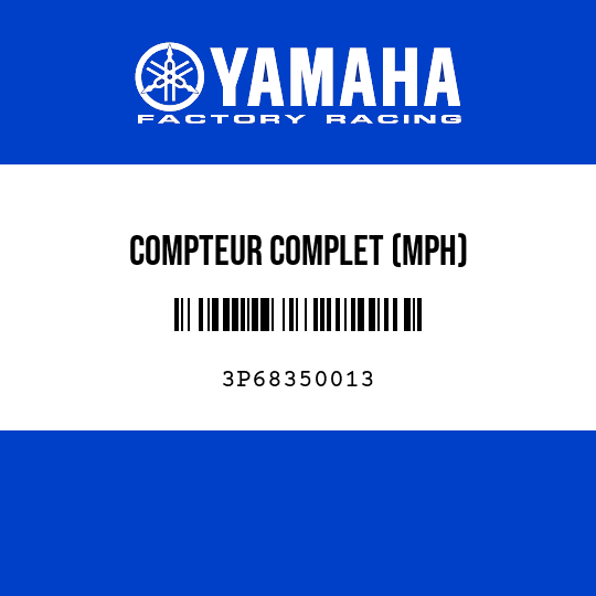 COMPTEUR COMPLET (MPH)