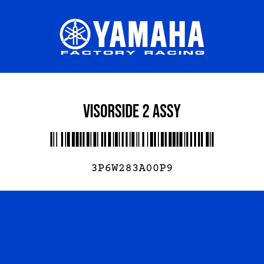 VISORSIDE 2 ASSY