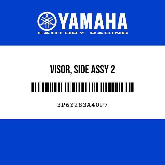 VISOR, SIDE ASSY 2