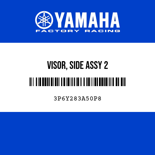 VISOR, SIDE ASSY 2