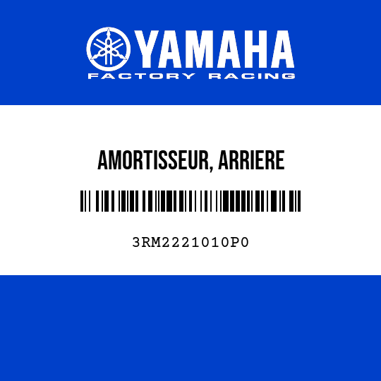 AMORTISSEUR, ARRIERE
