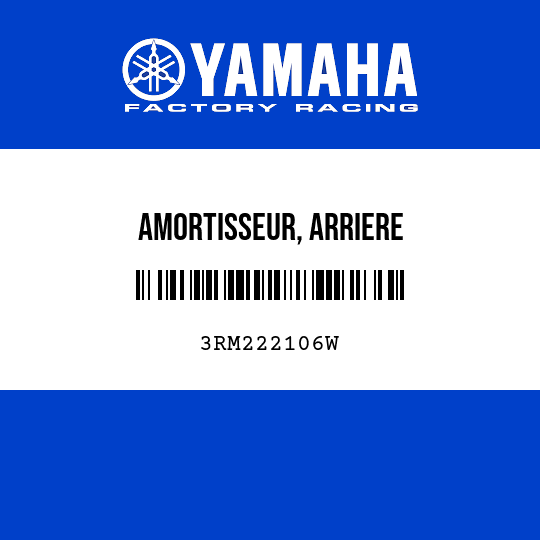 AMORTISSEUR, ARRIERE