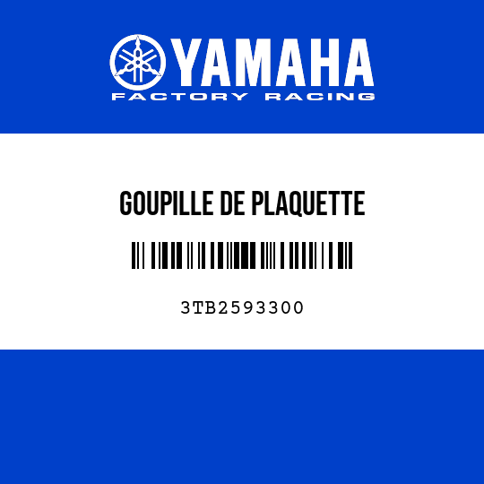 GOUPILLE DE PLAQUETTE