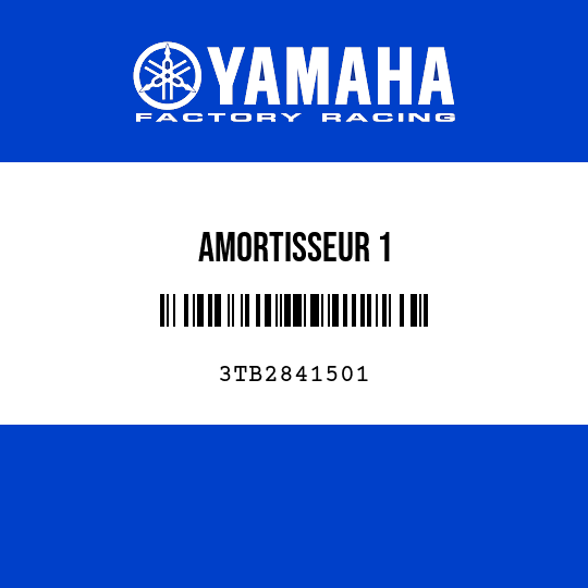 AMORTISSEUR 1