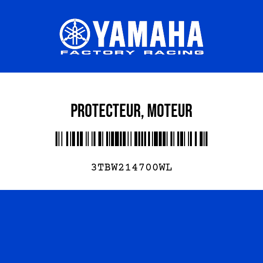 PROTECTEUR, MOTEUR