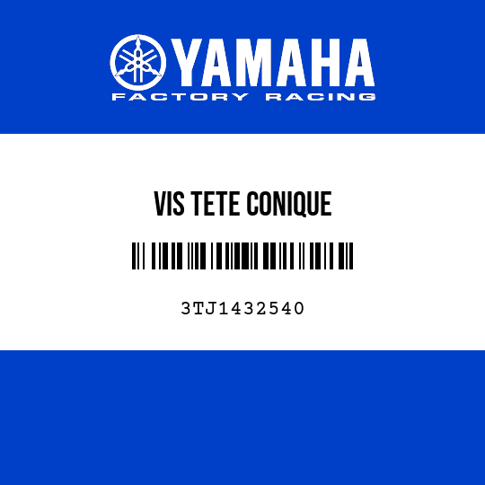 VIS TETE CONIQUE