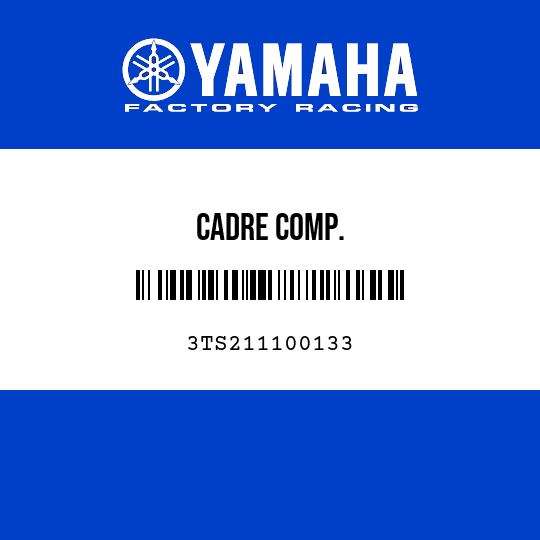 CADRE COMP.