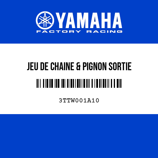 JEU DE CHAINE & PIGNON SORTIE