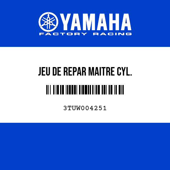 JEU DE REPAR MAITRE CYL.